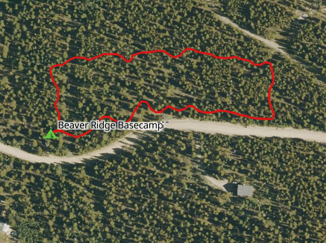 Aerial satellite view of Beaver Ridge Basecamp with the actual GPS-recorded trail path overlaid in red, starting at the Beaver Ridge Basecamp trailhead