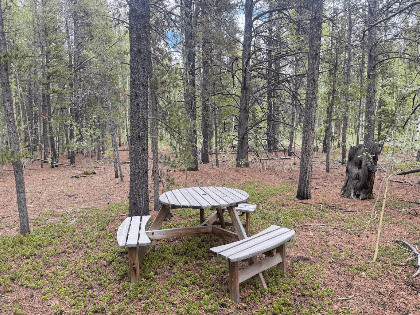 Beaver Ridge Basecamp - Picnic Table